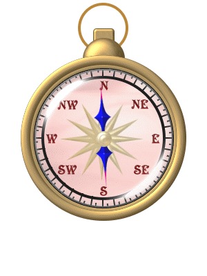 Magnetic Compass for Directional Analysis